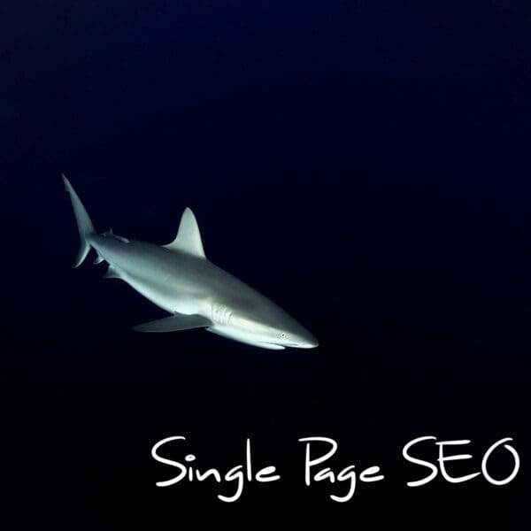 Single Page SEO Special - OCG Creative - DEMA